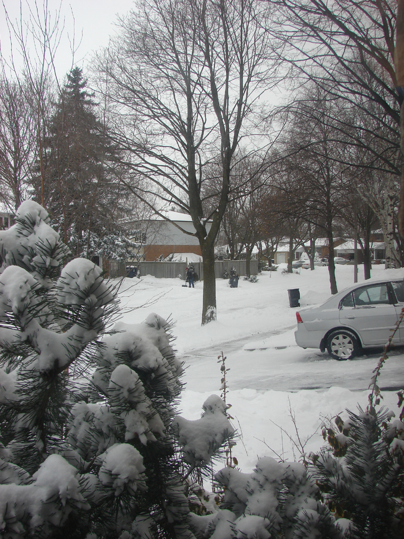 Winter First Snowfall, Toronto, Canada, Dec 27 2012. Photo by Don Tai