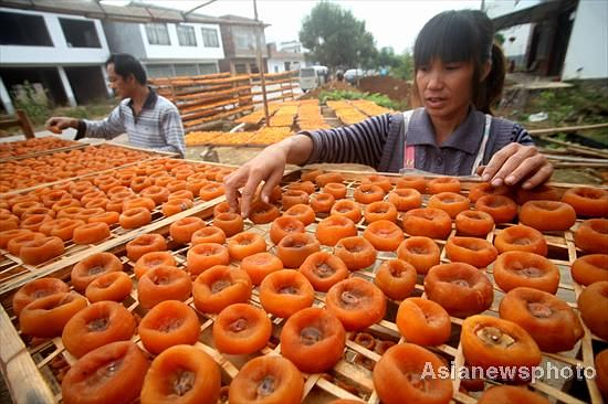 Normal dried persimmon  in Tangbian village, Gongcheng Yao autonomous county, Guangxi Province, Oct 30, 2011. [Photo/Asianewsphoto]